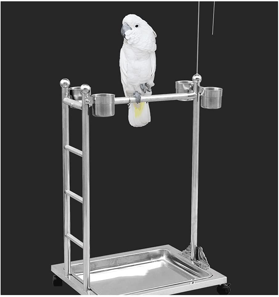 LEGU Birdcages Stainless Steel Parrot Play Gym Bird Playground Playstand,Bird Swing Conure Toys Table Play Stand with Food Box Tray-Silver Birdcage Decor Animals & Pet Supplies > Pet Supplies > Bird Supplies > Bird Gyms & Playstands LEGU   