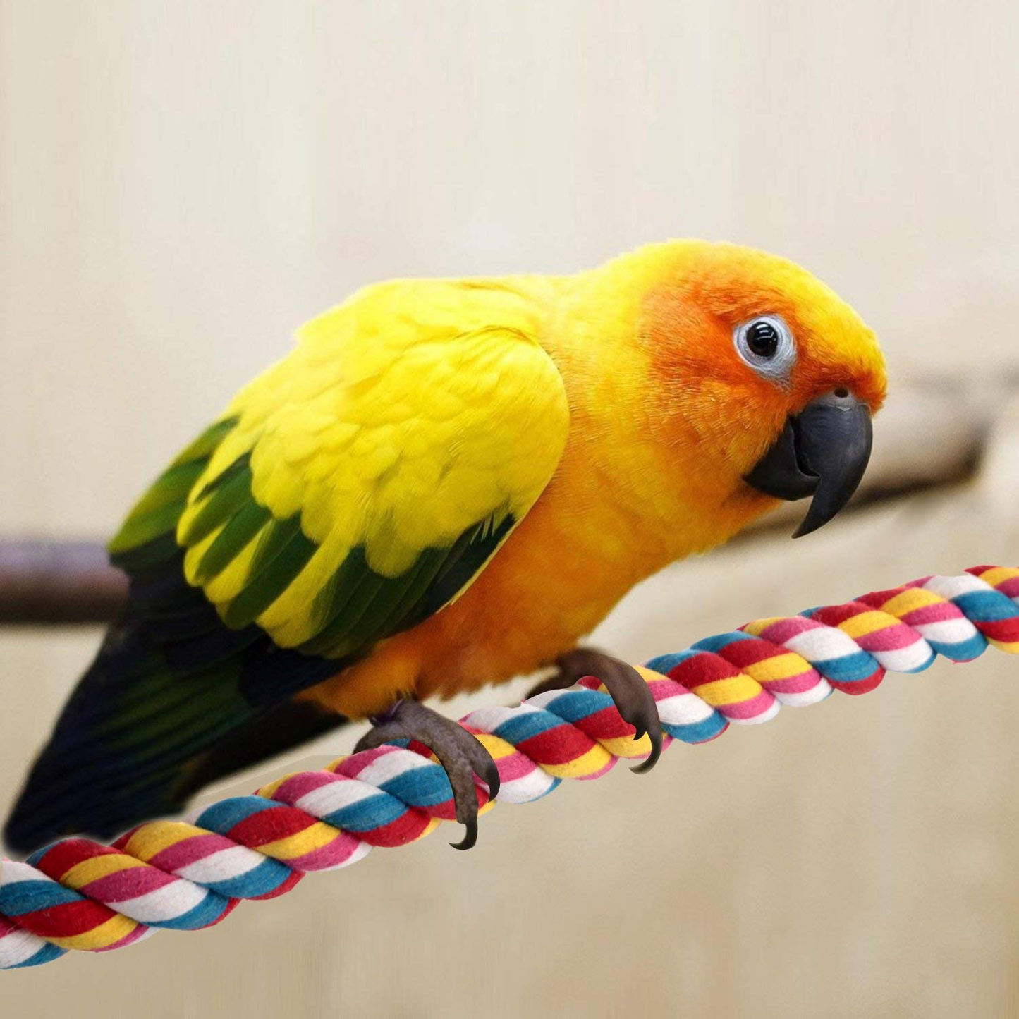 Jusney Bird Rope Perches, Comfy Perch Parrot Toys for Rope Bungee Bird Toy [1 Pack] Animals & Pet Supplies > Pet Supplies > Bird Supplies > Bird Ladders & Perches Jusney   