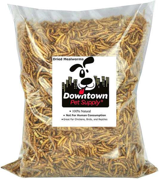 Downtown Pet Supply Dried Mealworms 100% Natural Treats for Wild Birds, Chickens, Reptiles, Fish - Food for Birds, Turkeys