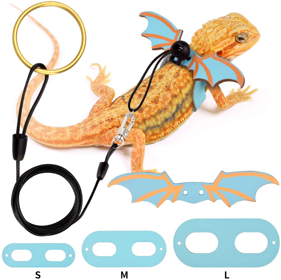 Baby bearded outlet dragon accessories