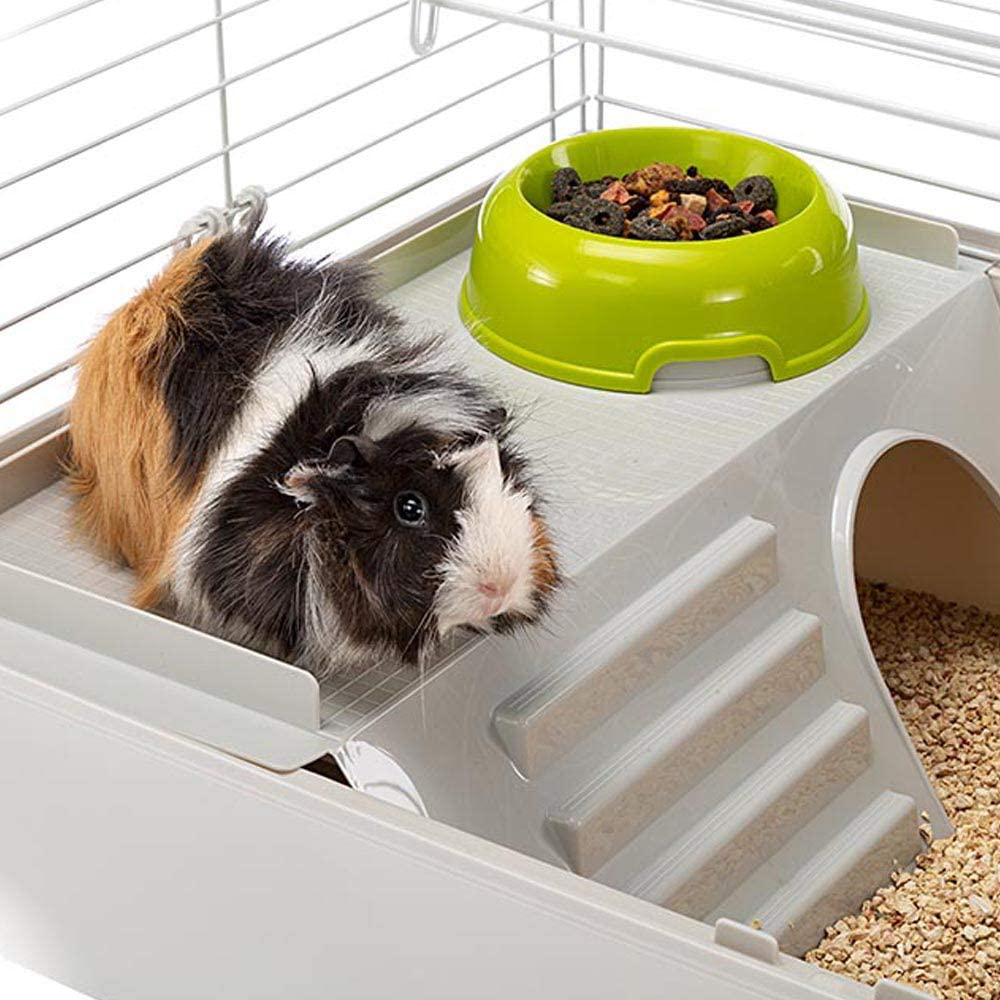 Guinea Pig and Rabbit Carrier