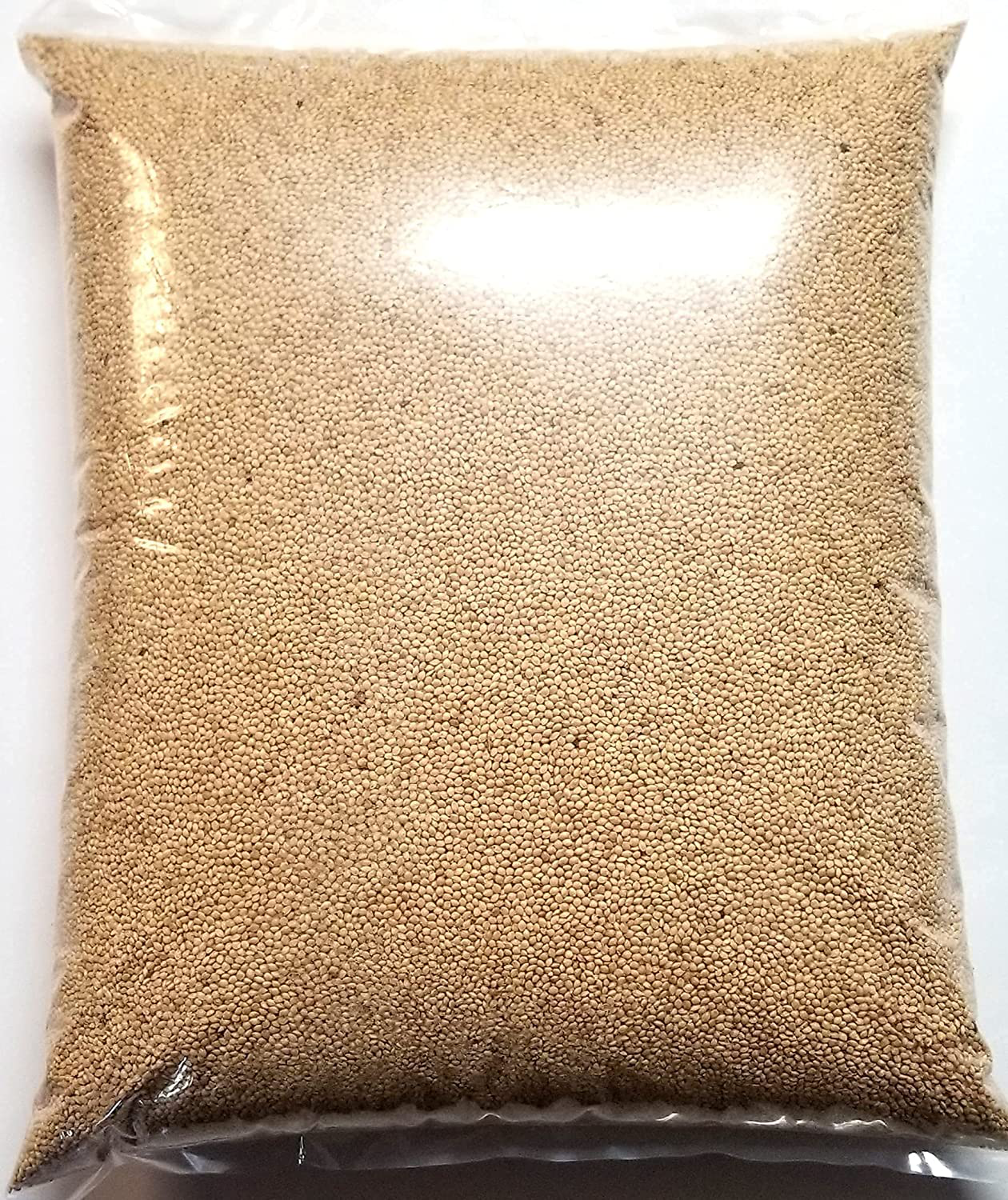 Desert Valley Supply Premium White Millet Proso Seeds - Wild Bird Food- Cardinal - Finch & More (10-Pounds) Animals & Pet Supplies > Pet Supplies > Bird Supplies > Bird Food Desert Valley Supply   