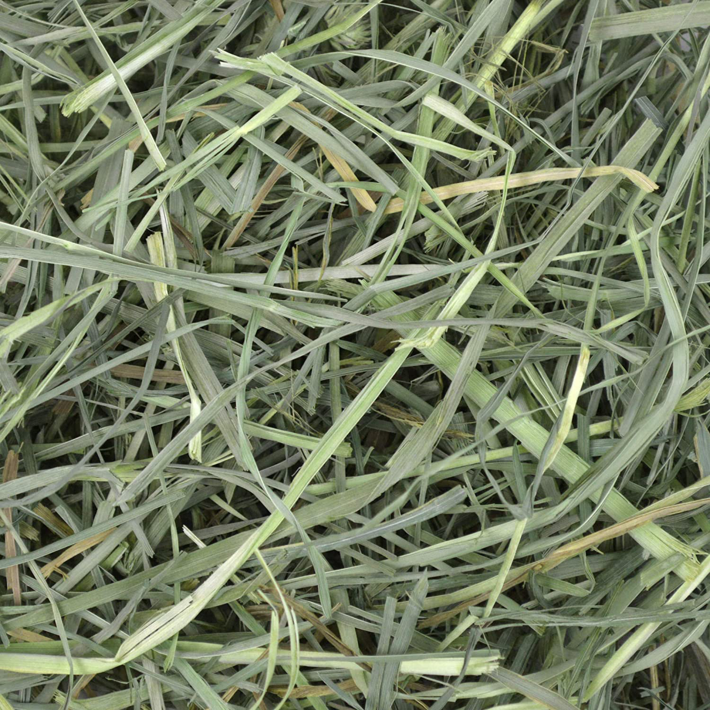 Oxbow Animal Health Orchard Grass Hay - All Natural Grass Hay for Chinchillas, Rabbits, Guinea Pigs, Hamsters & Gerbils Animals & Pet Supplies > Pet Supplies > Small Animal Supplies > Small Animal Food Oxbow   