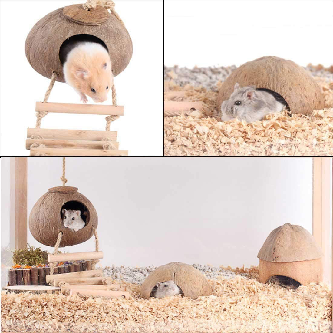 PINVNBY Natural Coconut Hut Hamster Hiding House Pet Cave Small Animal Cage Habitat Decor Hanging Guinea Pig Toys with Ladder for Gerbils Mice Rats Playing Breeding 3PCS Animals & Pet Supplies > Pet Supplies > Small Animal Supplies > Small Animal Habitats & Cages PINVNBY   