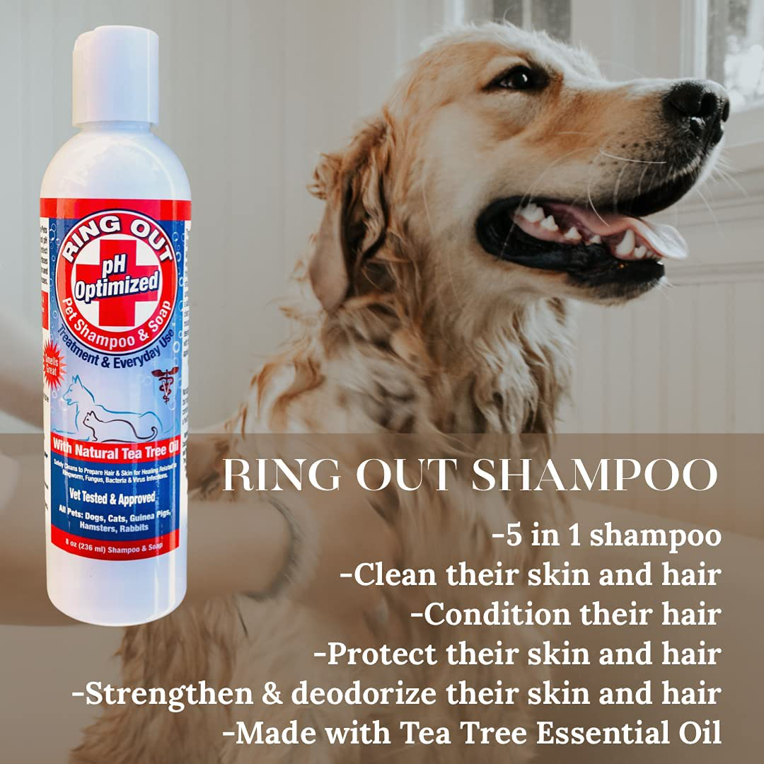 Ring Out - Pet Skin & Paw Cleaning Combo Set - Control & Help Ringworm | Recovery, Itch Calming Spray & Shampoo for Dog, Cat, All Pets. Gentle & Highly Effective for Skin (Empty Applicator Bottle) Animals & Pet Supplies > Pet Supplies > Small Animal Supplies > Small Animal Treats FlexTran   