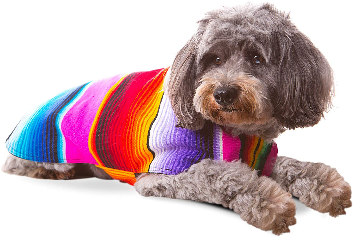 Mexican blanket online dog sweater