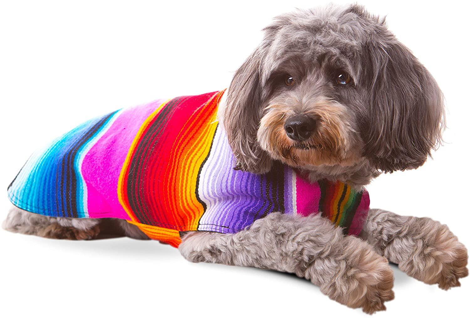 Handmade Dog Poncho from Mexican Serape Blanket Southwestern and