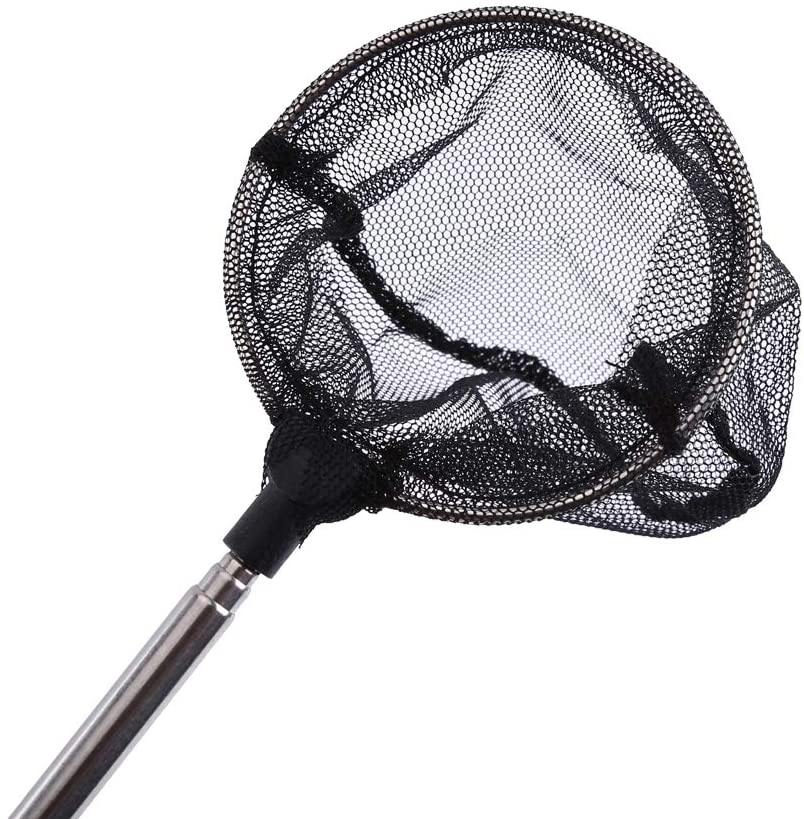 GLOGLOW Landing Net, Fish Tank Aquarium Net Mini Adjustable Telescopic Fishes Shrimps Landing Net Fish Landing Stainless Steel Net Fishing Landing Net Animals & Pet Supplies > Pet Supplies > Fish Supplies > Aquarium Fish Nets GLOGLOW   