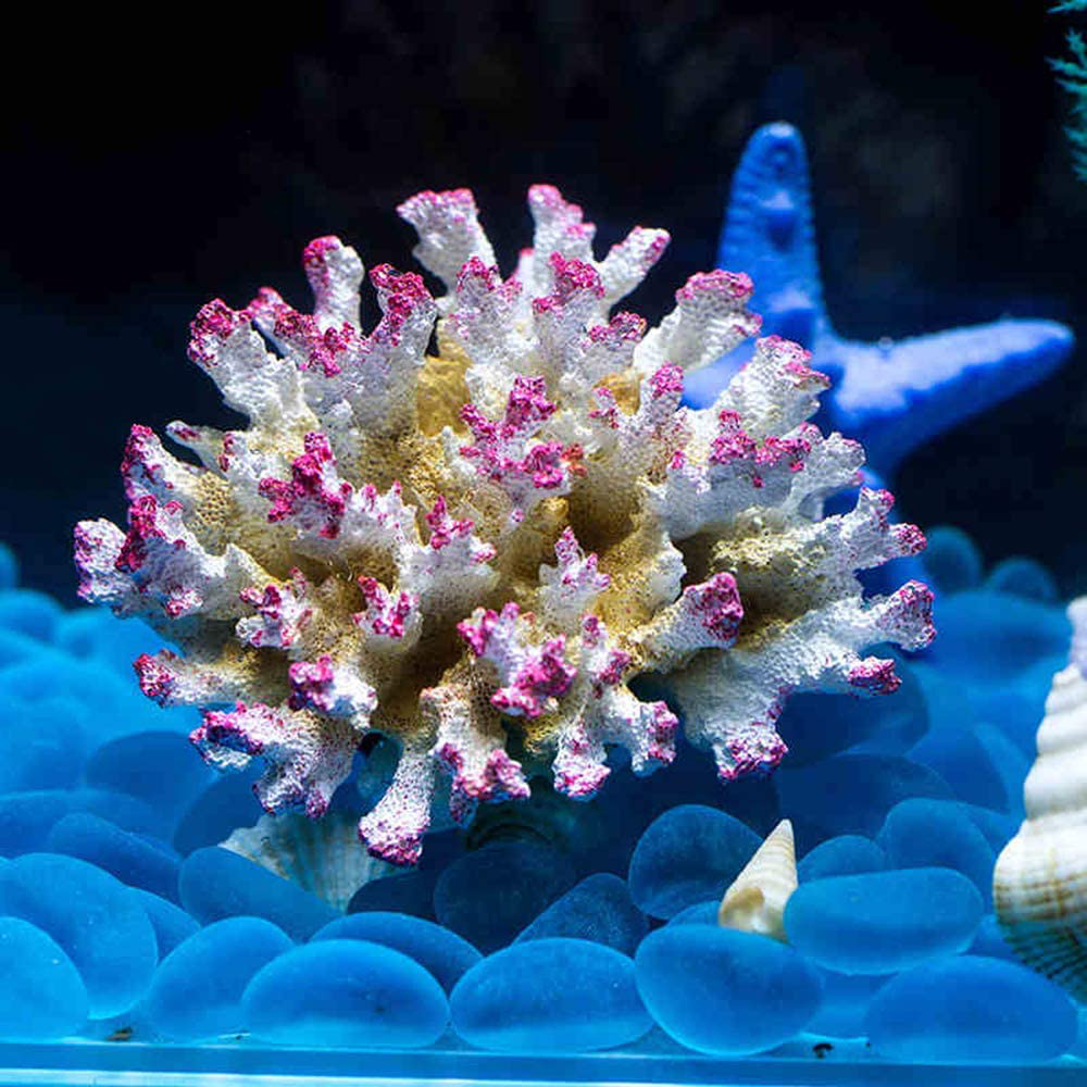 Danmu 1Pc of Polyresin Coral Ornament Diamater 4 1/3" for Fish Tank Aquarium Decoration Animals & Pet Supplies > Pet Supplies > Fish Supplies > Aquarium Decor Danmu   