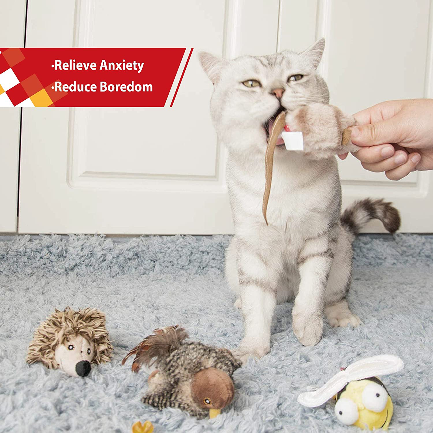 Toys for cats sales to play with alone