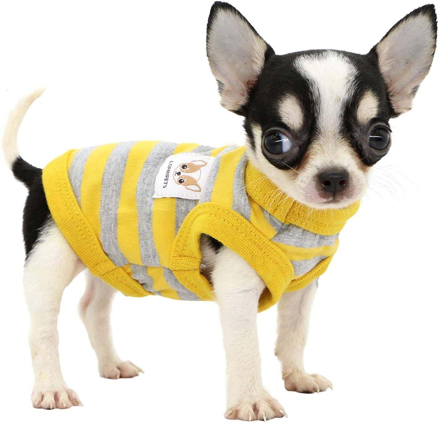 LOPHIPETS 100% Cotton Striped Dog Shirts for Puppy Small Dogs Chihuahua
