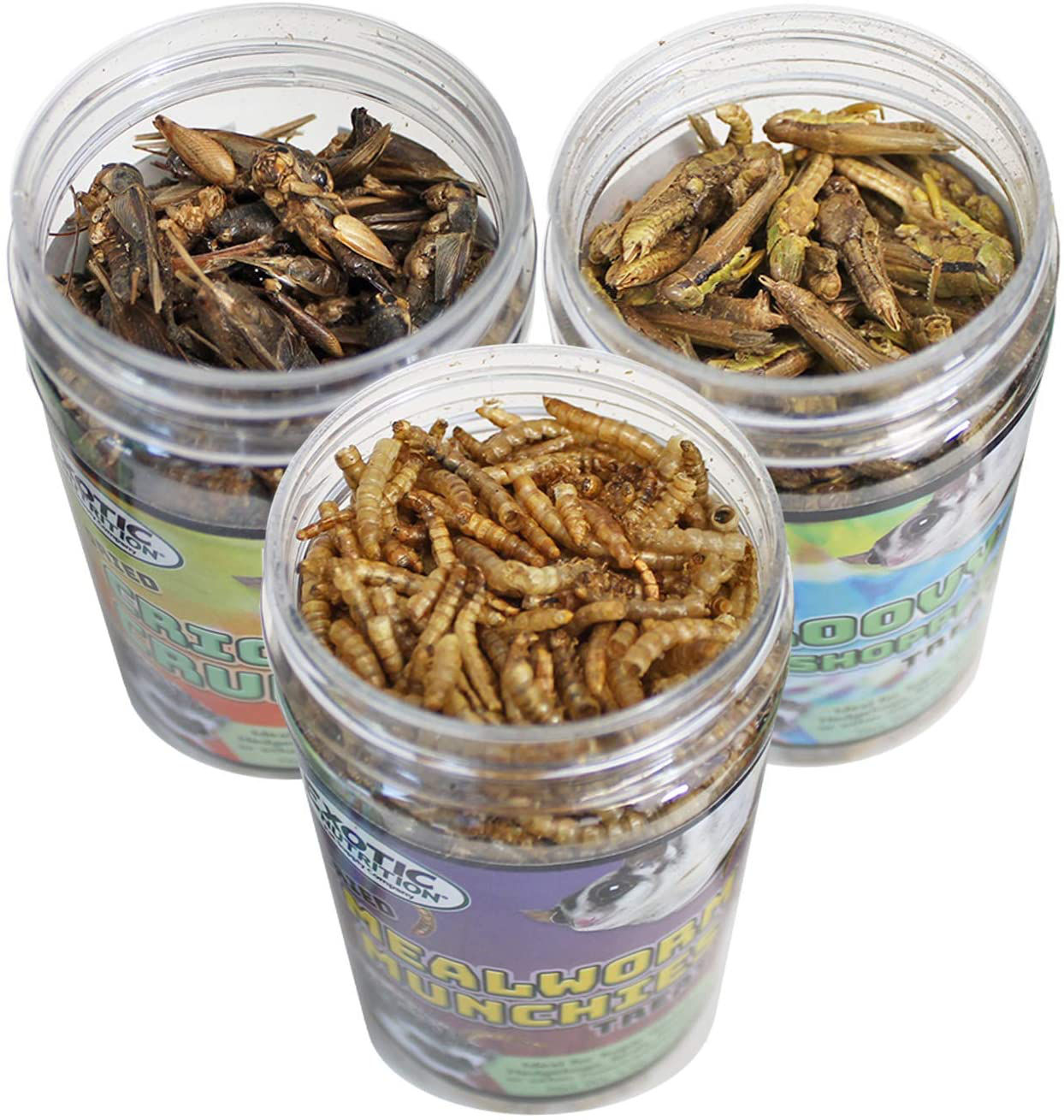 Dried Insect 3 Pack - Crickets, Grasshoppers, Mealworms - for Sugar Gliders, Hedgehogs, Wild Birds, Chickens, Turtles, Tropical Fish, Reptiles Animals & Pet Supplies > Pet Supplies > Reptile & Amphibian Supplies > Reptile & Amphibian Food Exotic Nutrition   