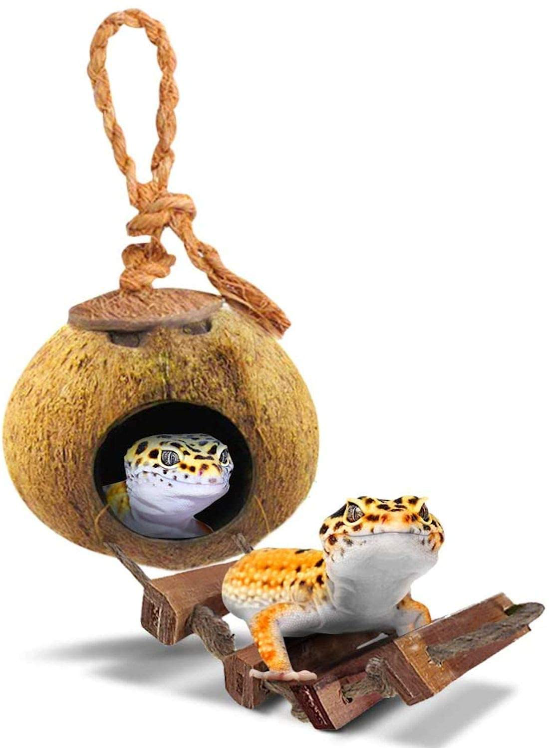 Sungrow Leopard Gecko Coconut Husk Hut with Ladder, 5” Diameter, 2.5” Shell Opening, Cave Habitat with Hanging Loop, 1 Pc per Pack