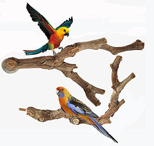 OSWINMART 2Pcs Bird Perches Natural Raw Grape Branch No Paint or Smell Standing Paw Climbing Chewing Standing Cage Accessories Platform for Parrot Cages Toy for Cockatiels Parakeets Budgies Birds Animals & Pet Supplies > Pet Supplies > Bird Supplies > Bird Cage Accessories OSWINMART   