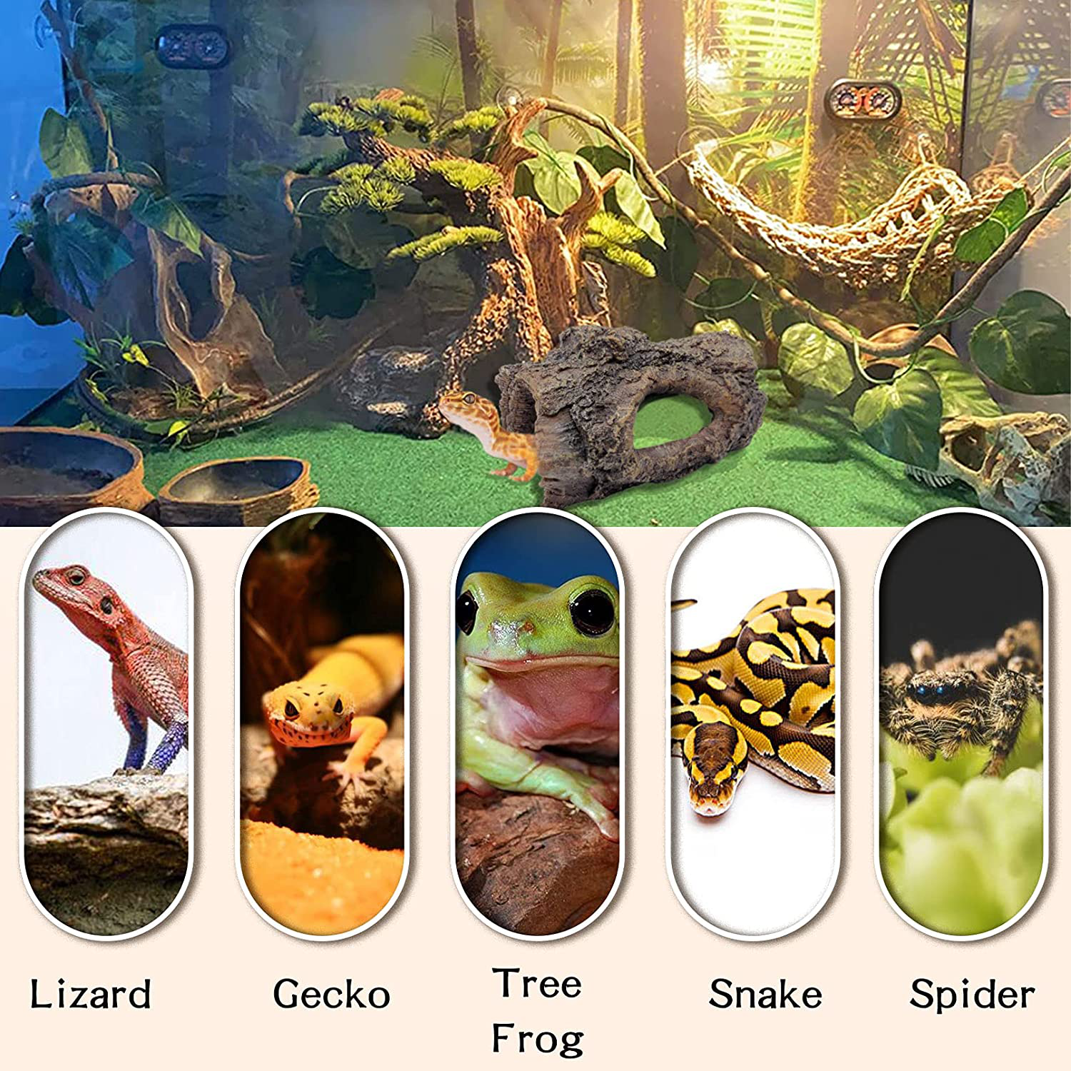 Mossy Reptile Hide, Small Ground Hide, Snake Enrichment, Playground Moss  Terrarium Decor, Lizard Snake Gecko Frog Hide, Reptile Supplies 