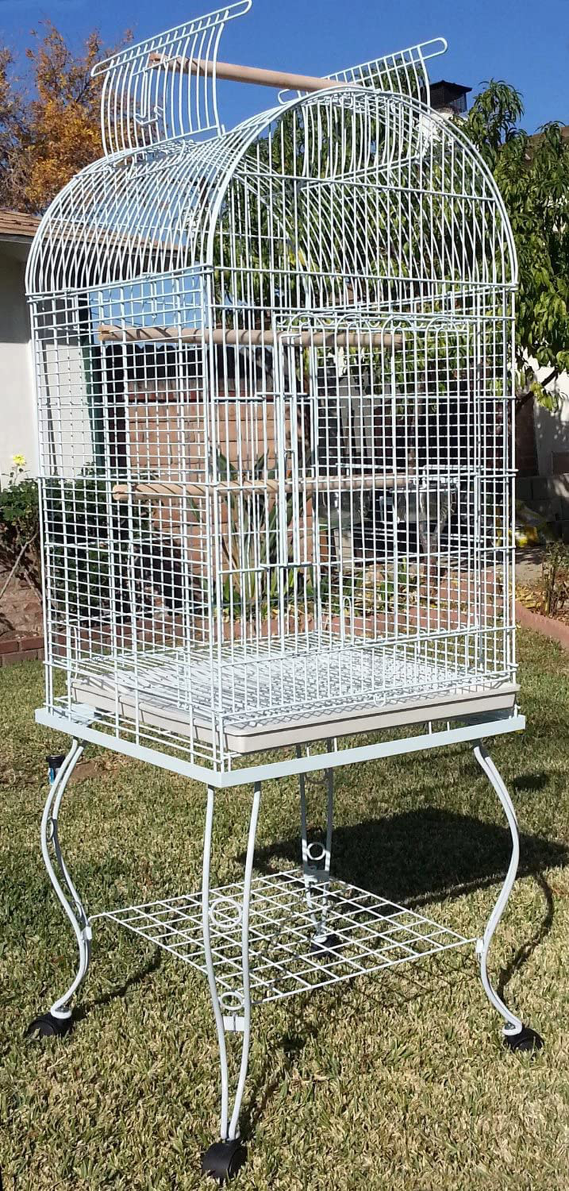 Large 64-Inch Open Dome Play-Top with 5/8-Inch Bar Spacing for Cockatiel Cockatiels Sun Conure Parakeet Rolling Cage Animals & Pet Supplies > Pet Supplies > Bird Supplies > Bird Cages & Stands Mcage White Vein 20 x 20 x 64"H inch 