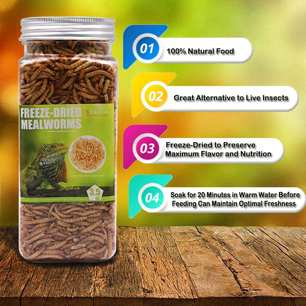 Reptile Food Freeze Dried Mealworms Pet Worms Food for Bearded Dragon, Lizard, Turtles, Chameleon, Monitor, Frog, Birds, Fish, Hamsters and Hedgehogs Animals & Pet Supplies > Pet Supplies > Reptile & Amphibian Supplies > Reptile & Amphibian Food Sequoia   