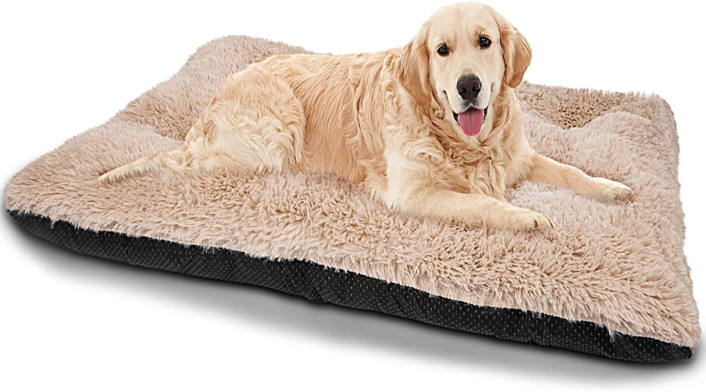 Dog best sale mattress pad