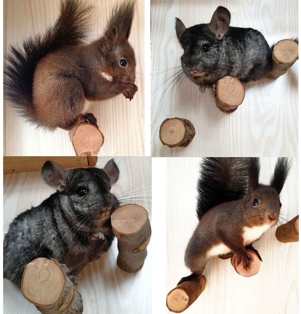 QBLEEV Hamster Chew Toys for Teeth, Wood Chew Sticks Stands Perches for Squirrels Rabbits, Cage Supplies Platform Stands for Birds Parrot Guinea Pigs Chinchilla 3- Pack Animals & Pet Supplies > Pet Supplies > Bird Supplies > Bird Cages & Stands QBLEEV   