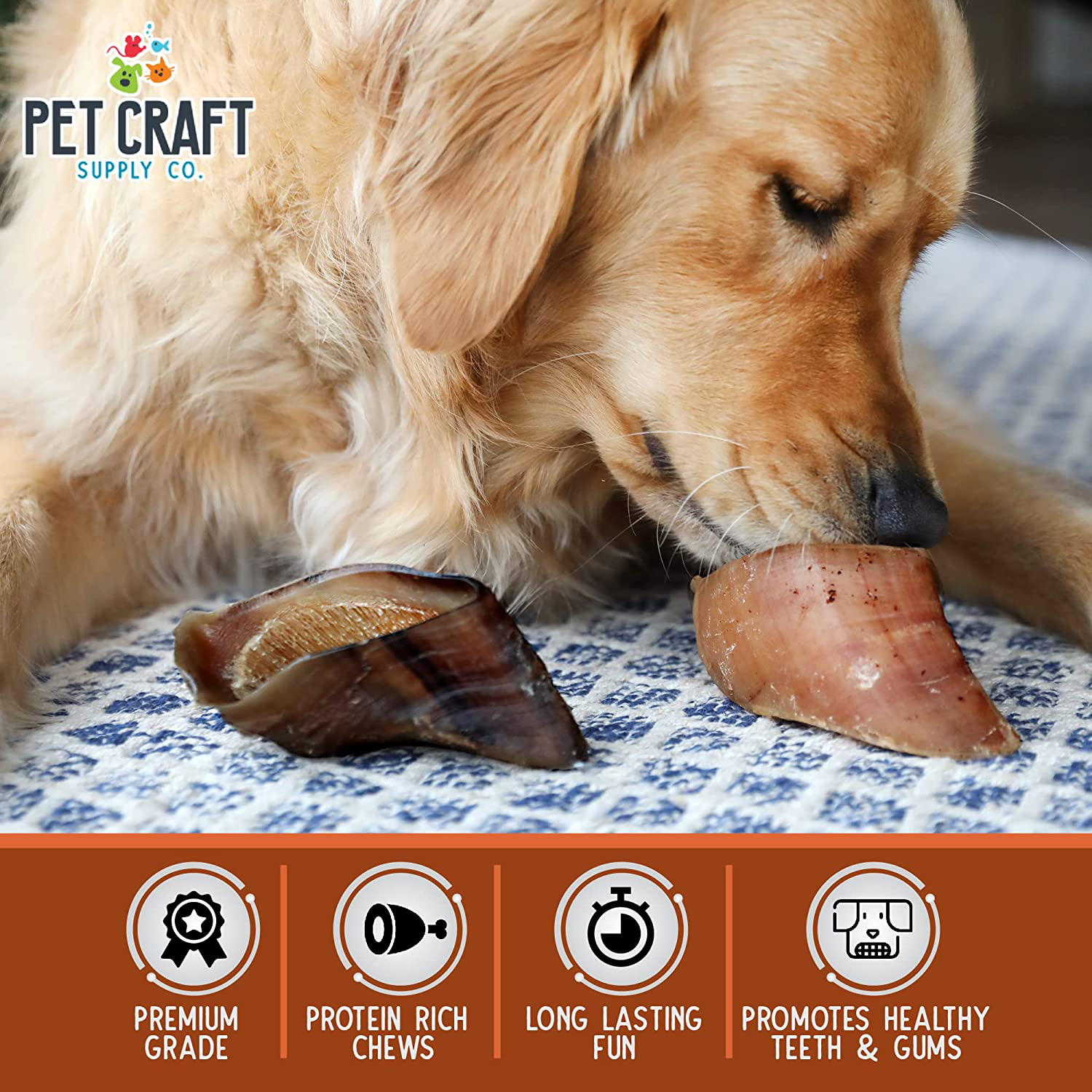 Pet Craft Supply All Natural Healthy Beef Hooves Bones Dog Chews Treats for Aggressive Chewers Long Lasting Rawhide Free Made in USA Premium Slow Roasted for Puppies Small Medium Large Dogs 10 Pack Animals & Pet Supplies > Pet Supplies > Small Animal Supplies > Small Animal Treats Pet Craft Supply   