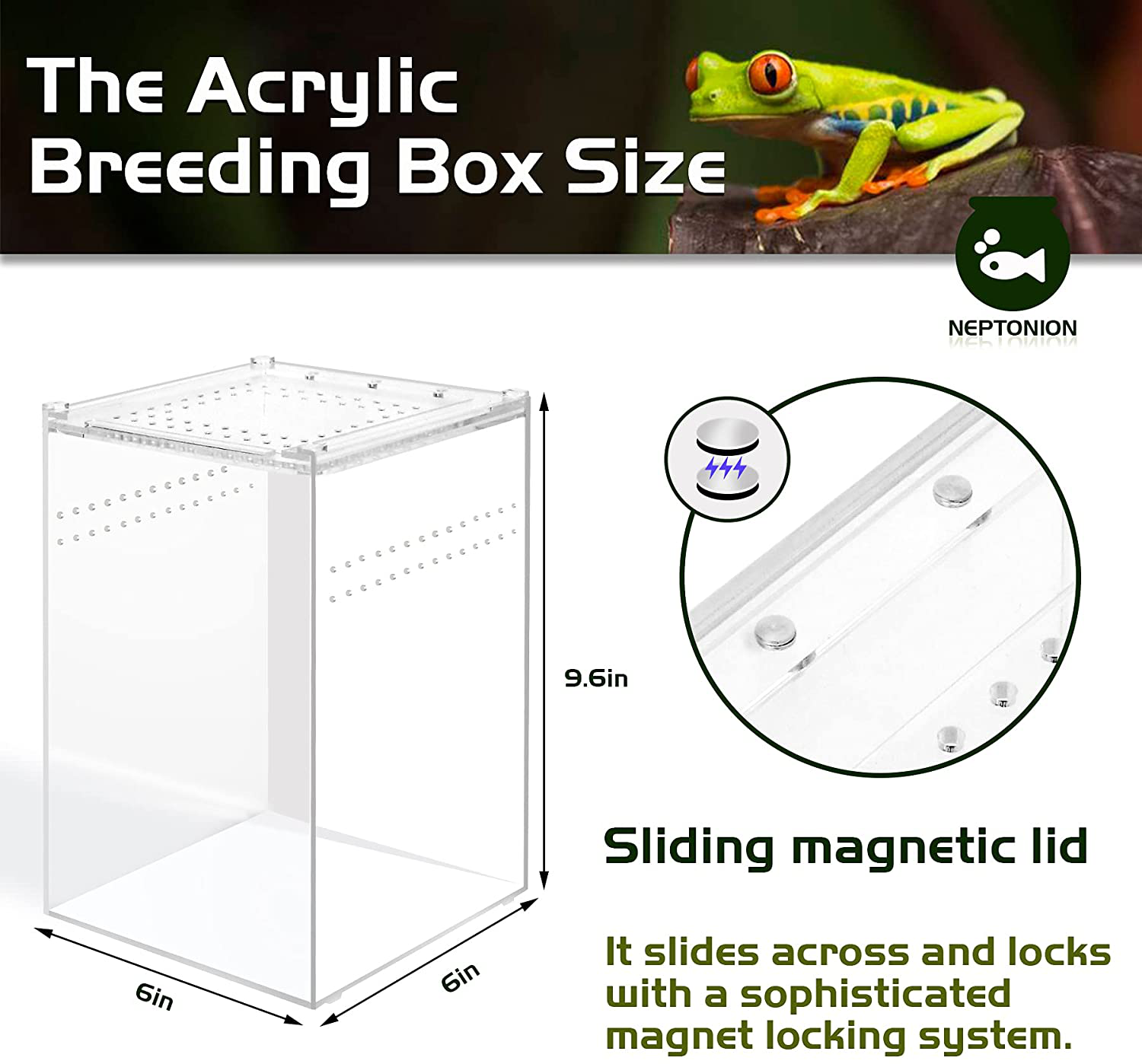 NEPTONION Acrylic Breeding Box Transparent Mini Reptile Habitat Terrarium with Sliding Cover Magnetic Closure for Small Animals and Bugs，Including Tarantulas，Crickets，Snails，Hermit Crabs，Frogs
