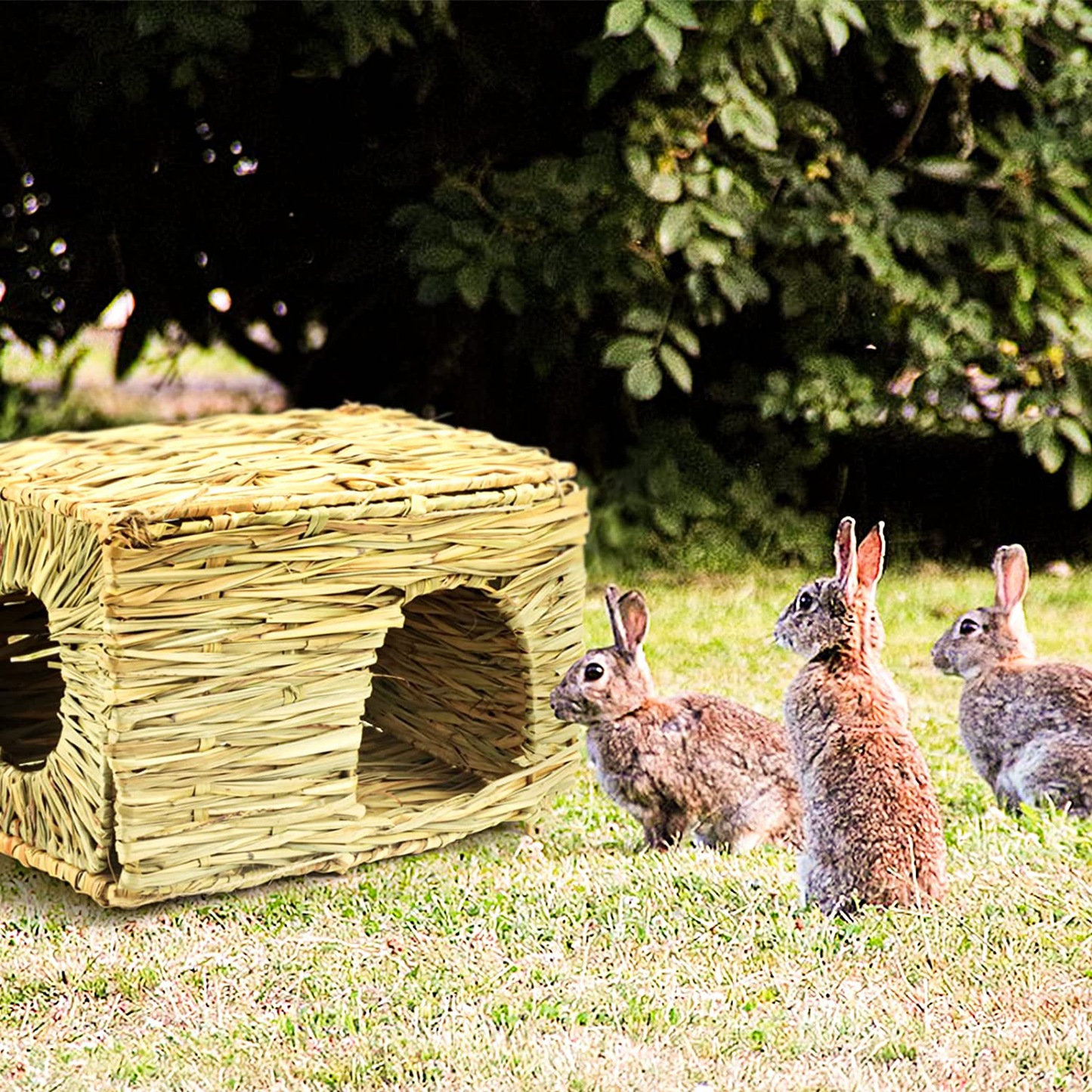 NC Rabbit Grass House, Hand Weave Bunny Hideout Natural Small Animals Habitats Foldable Grass Hut with Hamster Chew Toys Guinea Pig Pads for Bunny Chinchilla and Other Small Animals Play Animals & Pet Supplies > Pet Supplies > Small Animal Supplies > Small Animal Habitats & Cages N\C   