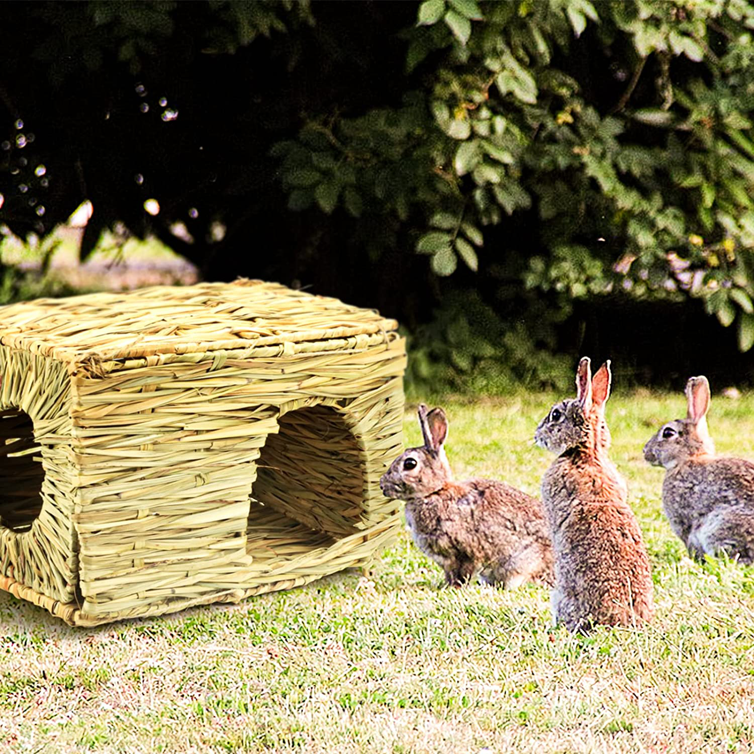 NC Rabbit Grass House, Hand Weave Bunny Hideout Natural Small Animals Habitats Foldable Grass Hut with Hamster Chew Toys Guinea Pig Pads for Bunny Chinchilla and Other Small Animals Play Animals & Pet Supplies > Pet Supplies > Small Animal Supplies > Small Animal Habitats & Cages N\C   