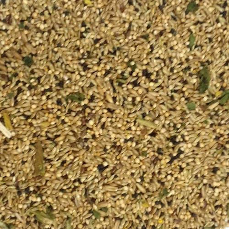 Sweet Harvest Canary Bird Food, 4 Lbs Bag - Seed Mix for Canaries Animals & Pet Supplies > Pet Supplies > Bird Supplies > Bird Food Sweet Harvest   