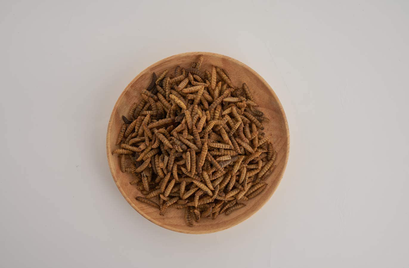 KIMOE Non-Gmo Fly Larvae 5Lbs for Wild Bird,Chicken More Calcium than Dried Mealworms Animals & Pet Supplies > Pet Supplies > Reptile & Amphibian Supplies > Reptile & Amphibian Food kimoe   