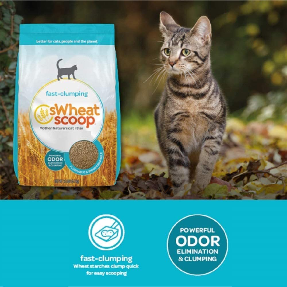 Swheat Scoop Wheat-Based Natural Cat Litter Animals & Pet Supplies > Pet Supplies > Cat Supplies > Cat Litter Swheat Scoop   