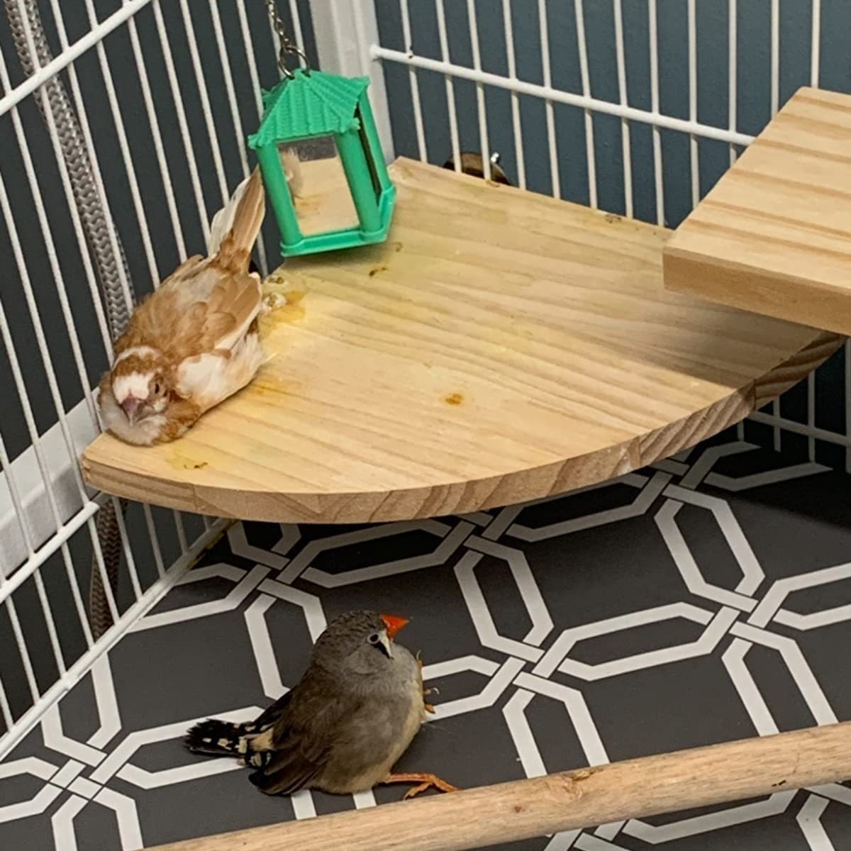 KYHSOM 2 Pack Bird Perch Platform, Wood Perch Bird Platform Parrot Stand Playground Cage Accessories for Small Animals Parrot Parakeet Conure Cockatiel Budgie Gerbil Rat Mouse Chinchilla Animals & Pet Supplies > Pet Supplies > Bird Supplies > Bird Ladders & Perches KYHSOM   