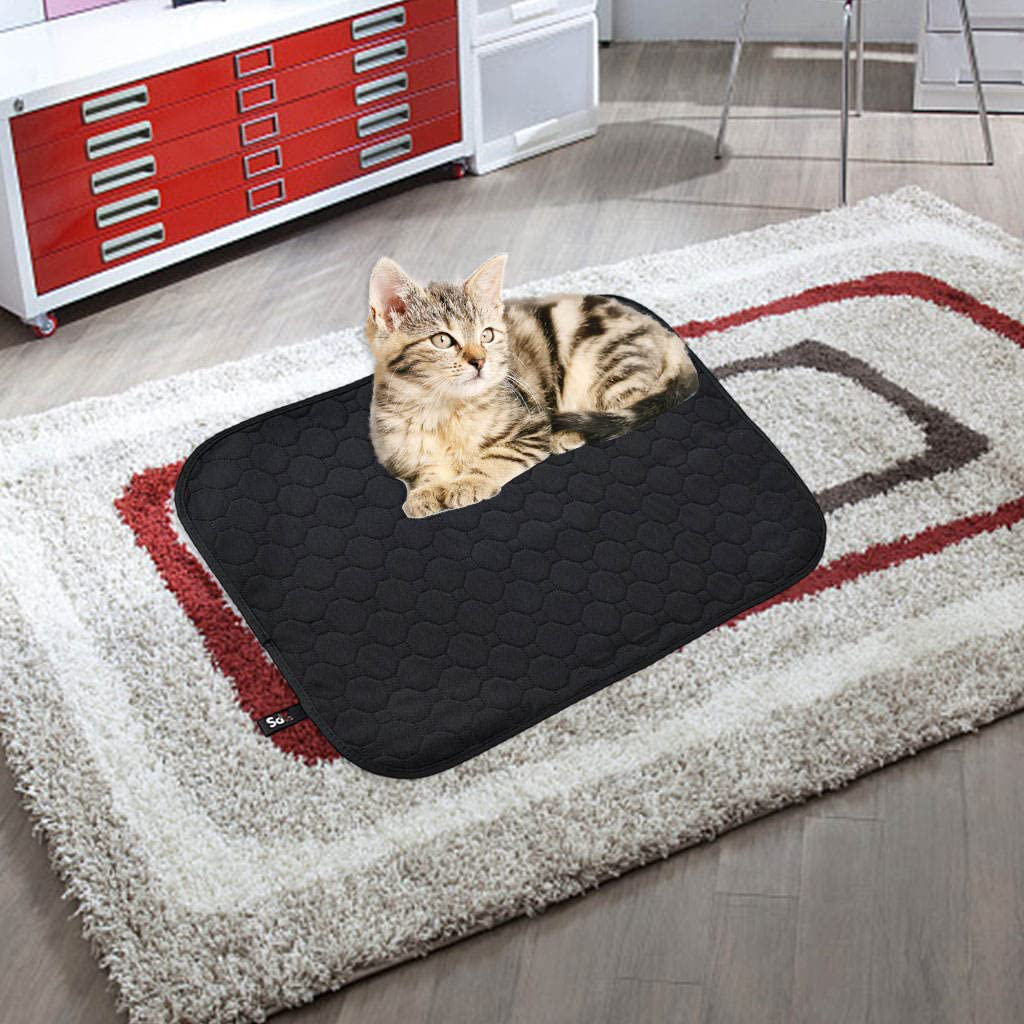 Baoblaze Cooling Cat Litter Mat Non-Slip Breathable Washable Easy Clean Non Toxic Four-Layer Waterproof Non-Slip Urine Waterproof for Litter Boxes Animals & Pet Supplies > Pet Supplies > Cat Supplies > Cat Litter Box Mats Baoblaze   