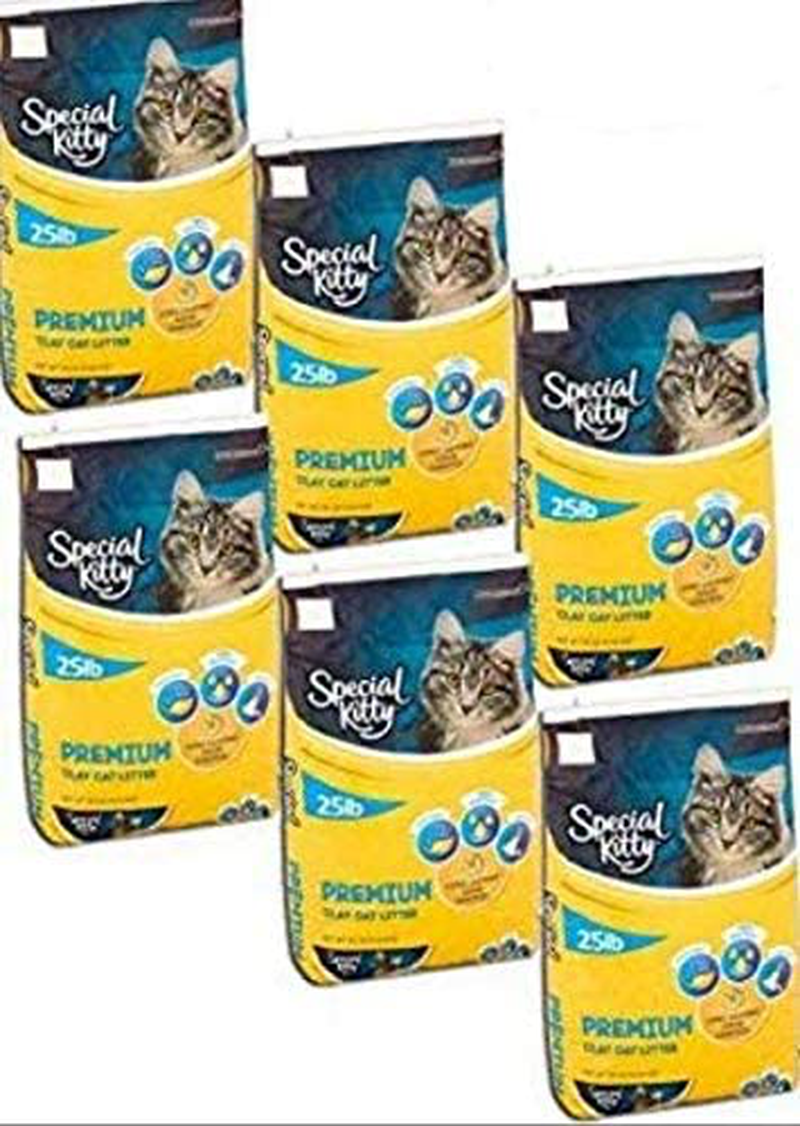 Special Kitty Pack of 6 Fresh Scent Premium Clay Cat Litter, 25 Lb Animals & Pet Supplies > Pet Supplies > Cat Supplies > Cat Litter Special Kitty   
