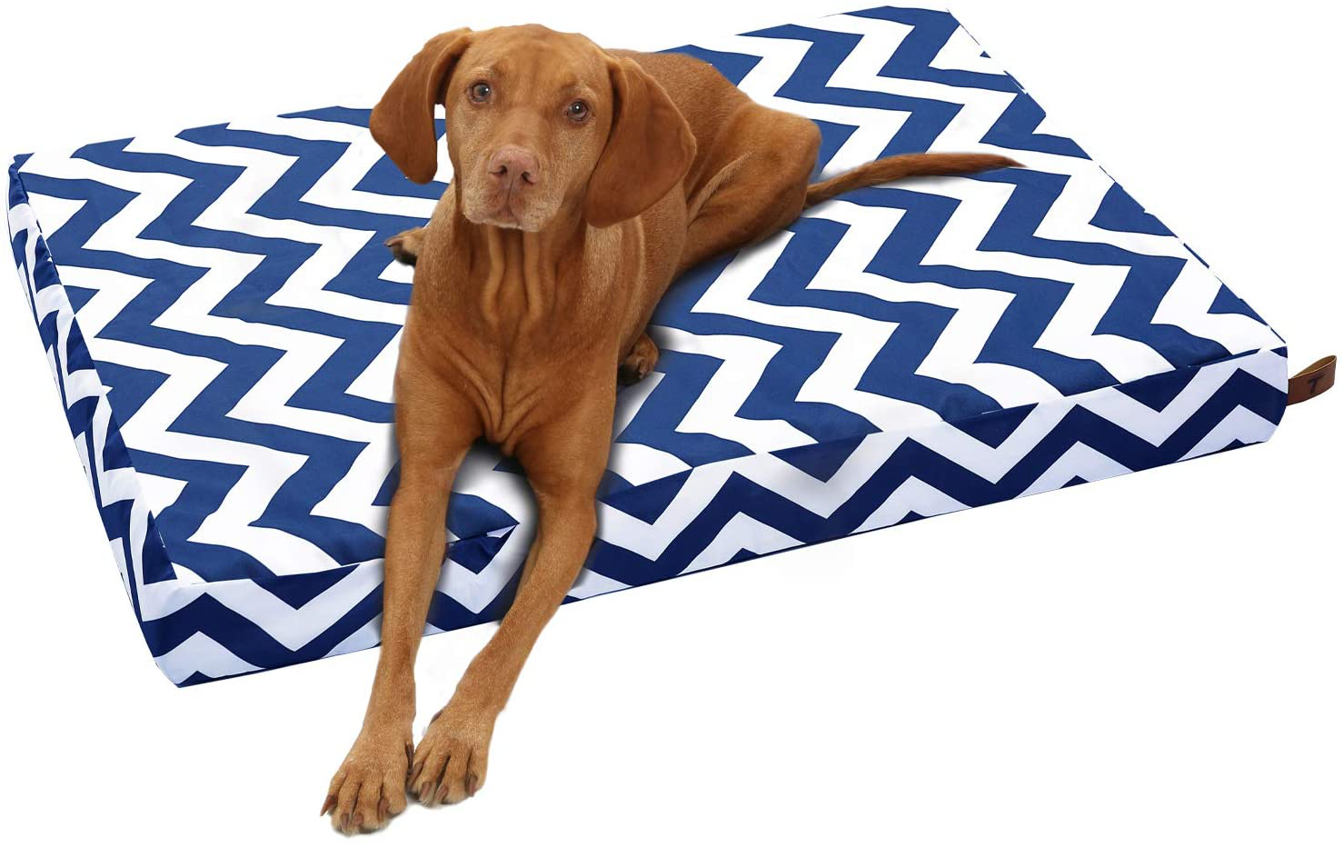 Tempcore Large Dog Bed (M/L/XL) for Small, Medium, Large Dogs up to 50/80/110Lbs -Waterproof Dog Bed with Removable Washable Cover - Orthopedic Egg Crate Foam Water Resistant Pet Mat Animals & Pet Supplies > Pet Supplies > Dog Supplies > Dog Beds Tempcore Blue-Polyline L 36X27 