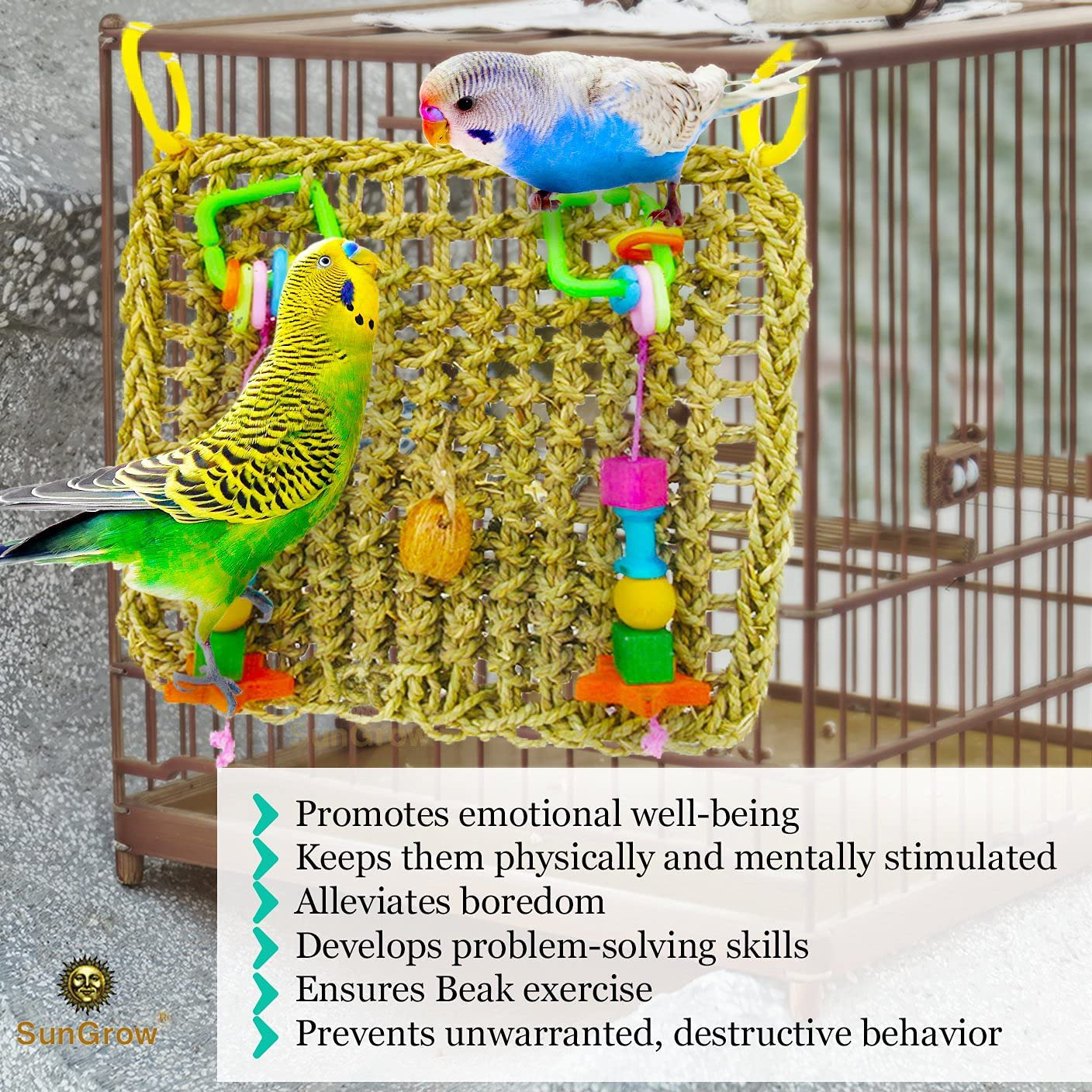 Sungrow Bird Foraging Wall Toy with Hanging Hook, 12.5 X 13.5 Inches, Seagrass Woven Mat with Colorful Wooden Blocks Animals & Pet Supplies > Pet Supplies > Bird Supplies > Bird Treats SunGrow   