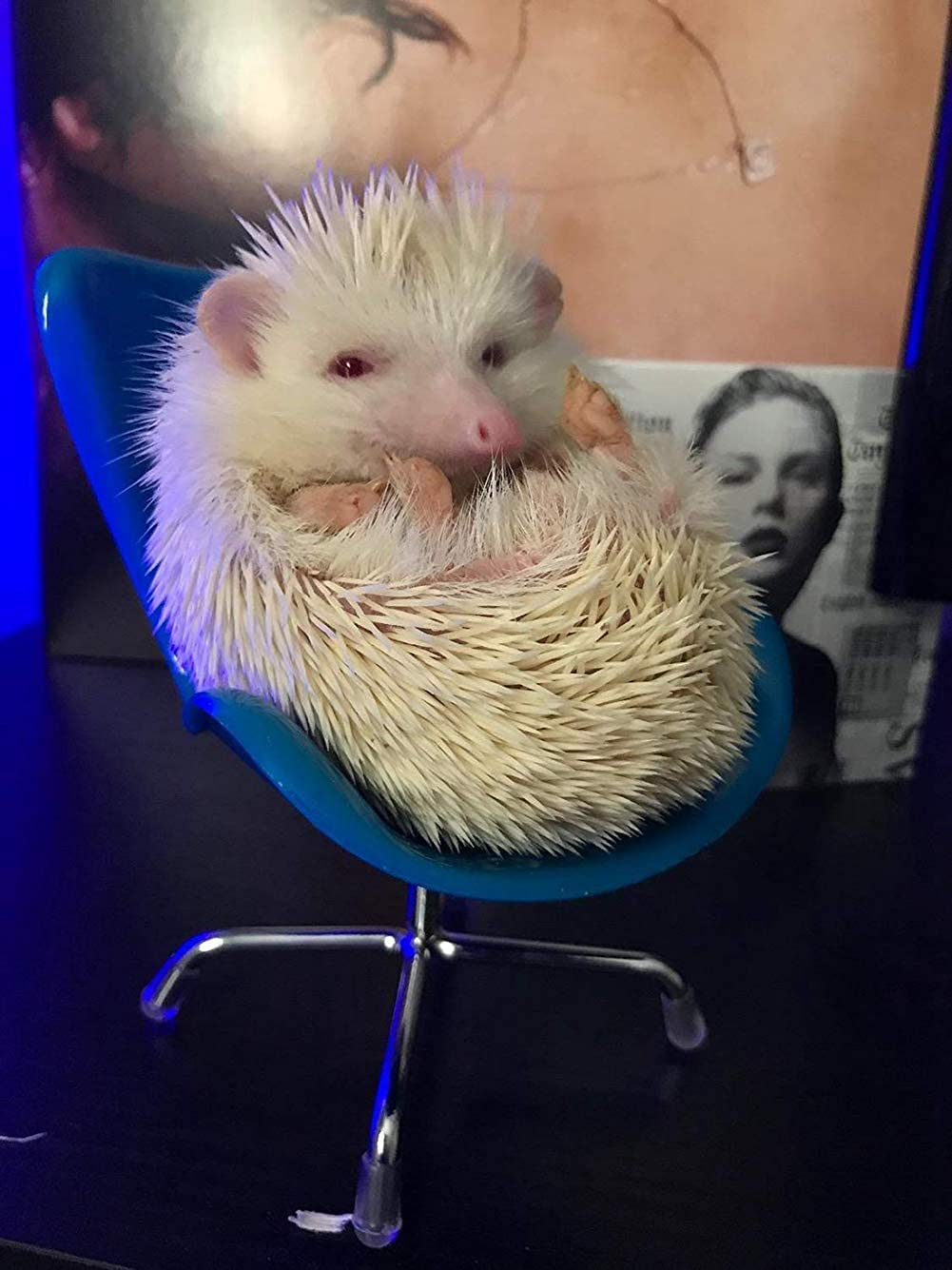 Hedgehog Chair Mini Plastic Swivel Seat Small Animal Toys Habitat Decor Cage Accessories Hedgehog Supplies Photo Props Chair Toy for Hedgehog,Bird,Parrot,Mouse,Chinchilla, Rat,Gerbil,Dwarf Hamster Animals & Pet Supplies > Pet Supplies > Small Animal Supplies > Small Animal Habitat Accessories HAICHEN TEC   