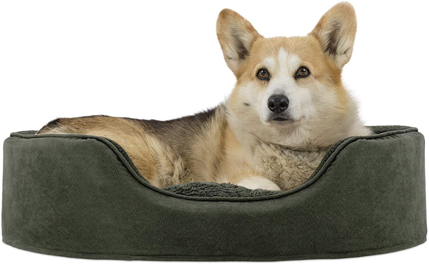 Furhaven Pet Beds for Small, Medium, and Large Dogs - round Oval Cuddler Supportive Dog Bed with Removable Cover - Multiple Sizes & Styles Animals & Pet Supplies > Pet Supplies > Cat Supplies > Cat Beds Furhaven Terry & Suede Forest Oval (Fiber-Filled Base) Large