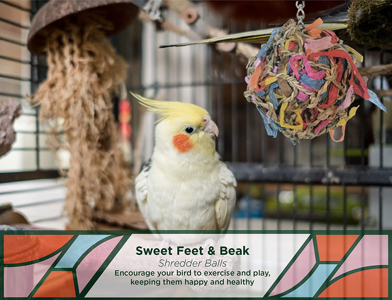 Sweet Feet and Beak Super Shredder Ball - Bird Cage Accessories to Keep Your Bird Busy Foraging for Hidden Treasures - Non-Toxic, Easy to Install Bird Foraging Toys, Bird Treats, Parrot Toys Animals & Pet Supplies > Pet Supplies > Bird Supplies > Bird Toys Sweet Feet and Beak   