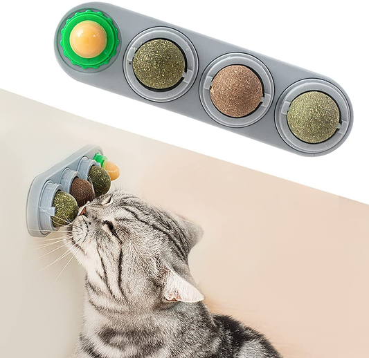 Potaroma 4 Pcs Catnip Wall Toys, Detachable Silvervine Balls, Edible Kitty Toys for Cats Lick, Safe Healthy Kitten Chew Toys, Teeth Cleaning Dental Cat Ball Toy, Cat Wall Treats