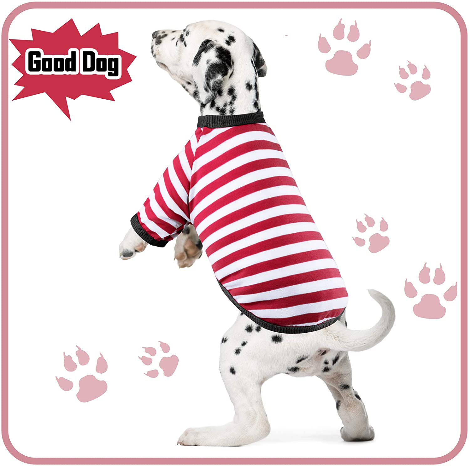 URATOT 9 Pieces Dog Striped T-Shirt Colorful Dog Shirt Pet Breathable Striped Outfits Puppy T-Shirts Apparel for Dog Cat Boy and Girl Pet Puppy Sweatshirt for Small Medium Large Dog Cat (XL) Animals & Pet Supplies > Pet Supplies > Dog Supplies > Dog Apparel URATOT   