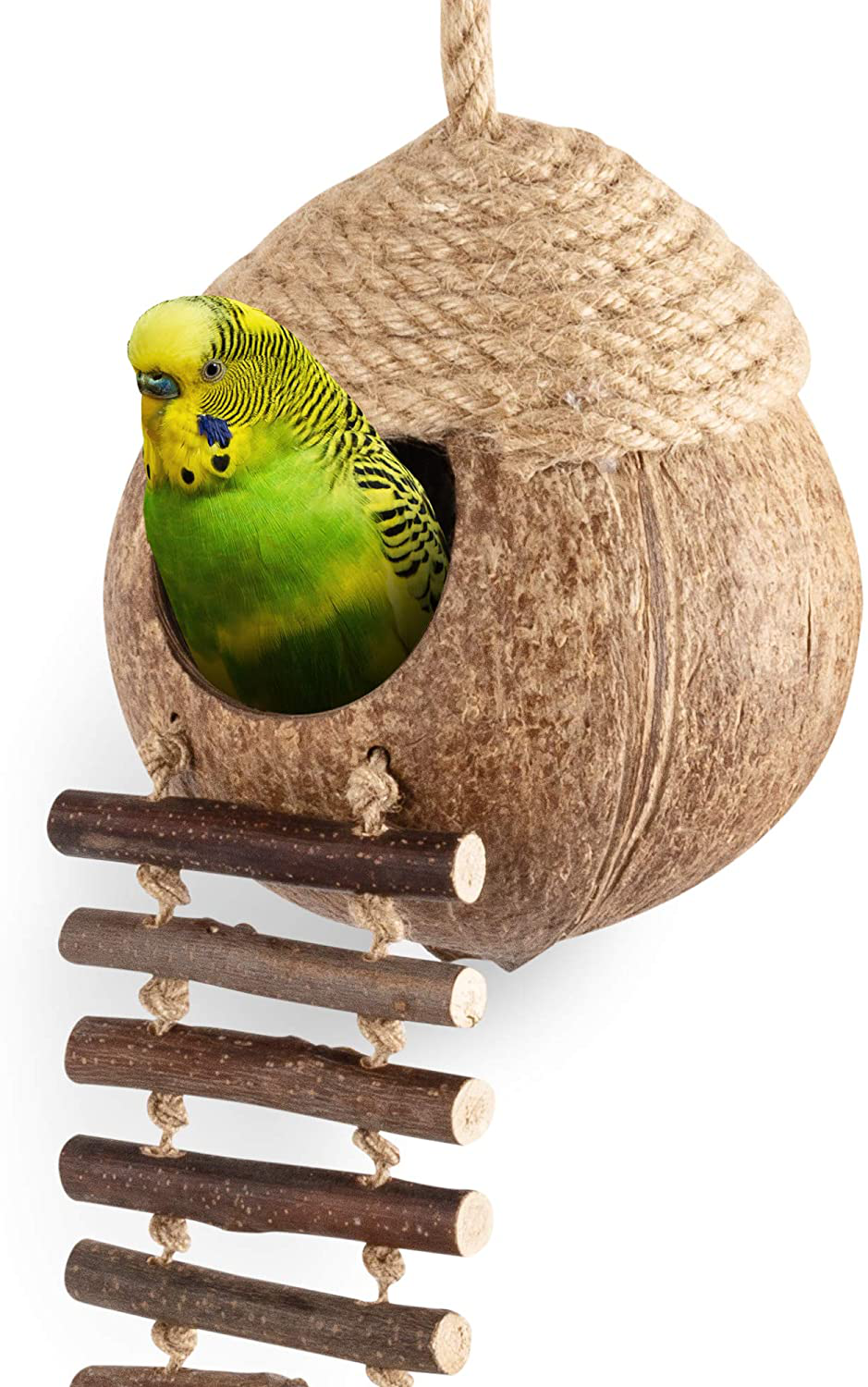 Andwe Coconut Bird Nest Hut with Ladder for Parrots Parakeet Conures Cockatiel - Small Animals House Pet Cage Habitats Decor Animals & Pet Supplies > Pet Supplies > Small Animal Supplies > Small Animal Habitats & Cages andwe   