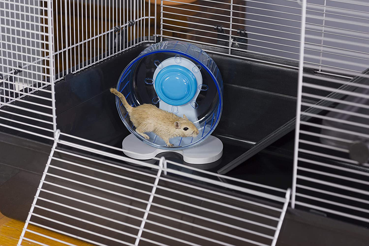 Prevue universal 2024 small animal home