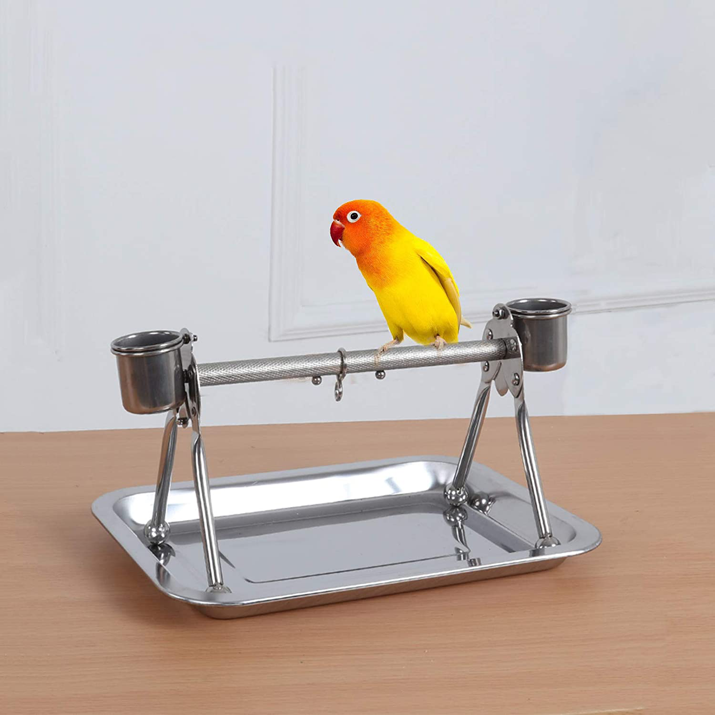 Tfwadmx Parrot Playstand,Stainless Steel Bird Playgound Play Gym Platform Table Top Perch with Feeding Cups Tray for Conure Parakeet Lovebird Cockatiel. Animals & Pet Supplies > Pet Supplies > Bird Supplies > Bird Gyms & Playstands Tfwadmx   