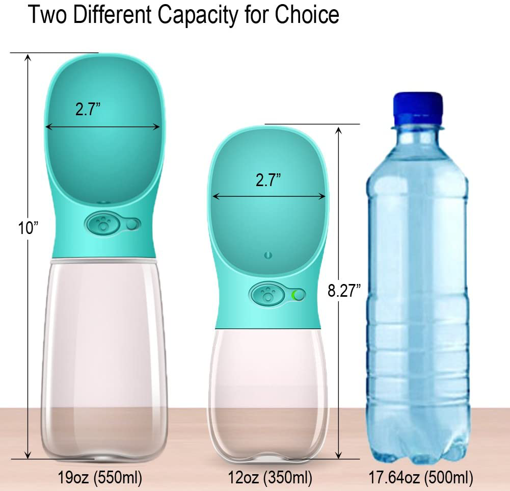 Spray Bottle, 550ml (Pack of 2)