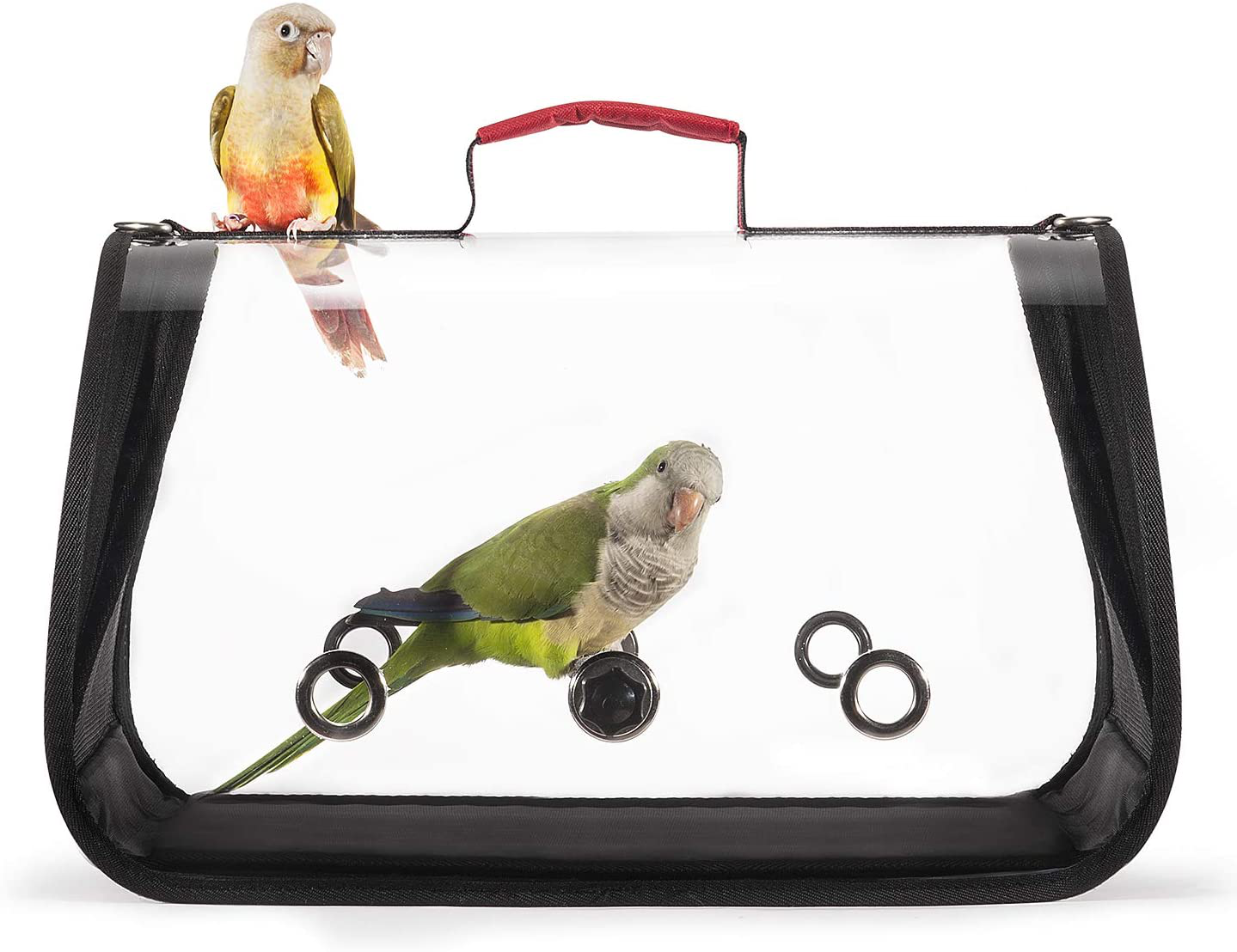 Colorday Lightweight Bird Carrier, Bird Travel Cage Parrot (Medium 16 X 9 X 11, Red) Patented Product