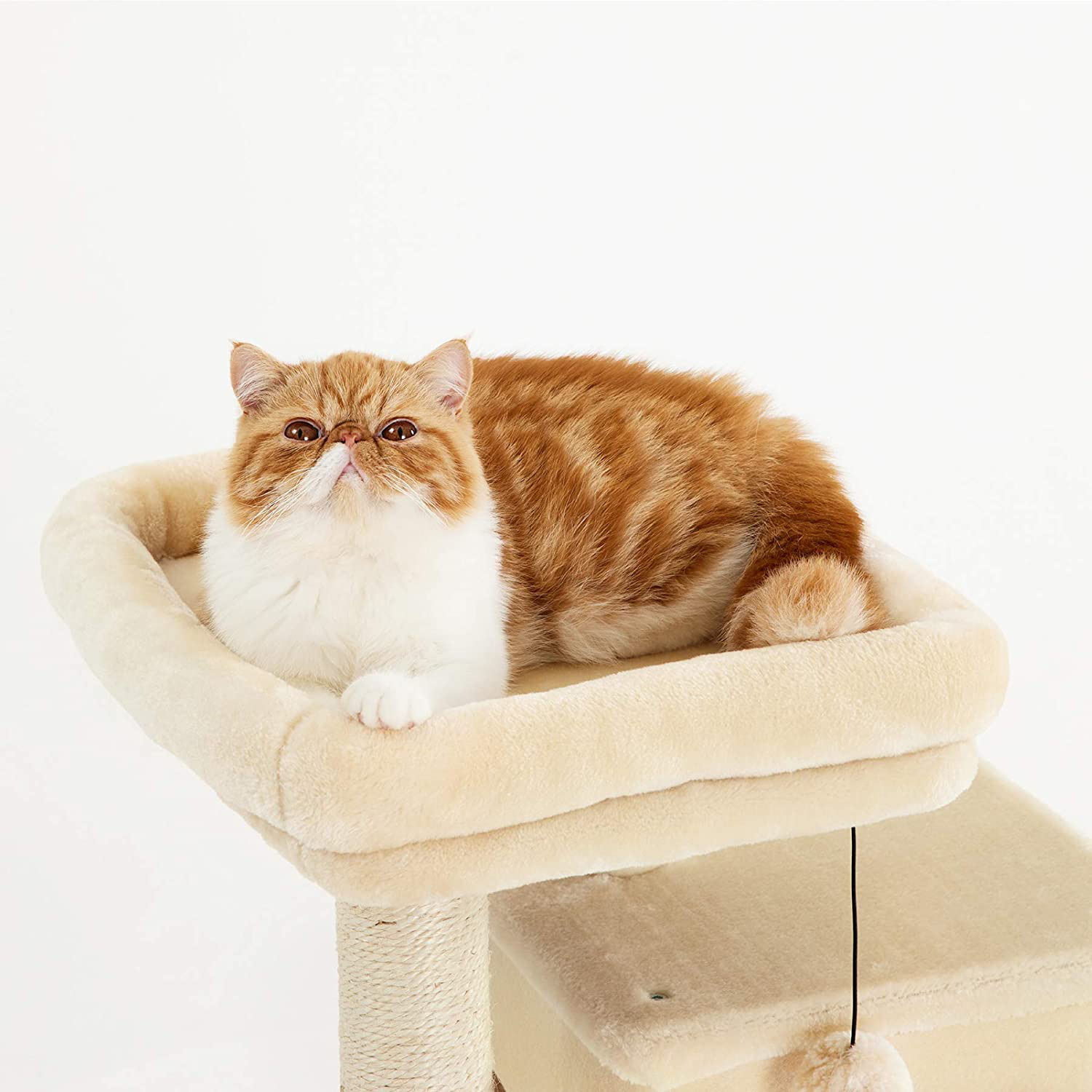 Lesure Cat Tree for Indoor Cats - Large Cat Tower Condos with Scratching Post and Platform, Multi-Level Pet Play House Stable Kitty Furniture, 34 Inches Tall Animals & Pet Supplies > Pet Supplies > Cat Supplies > Cat Furniture LE SURE   