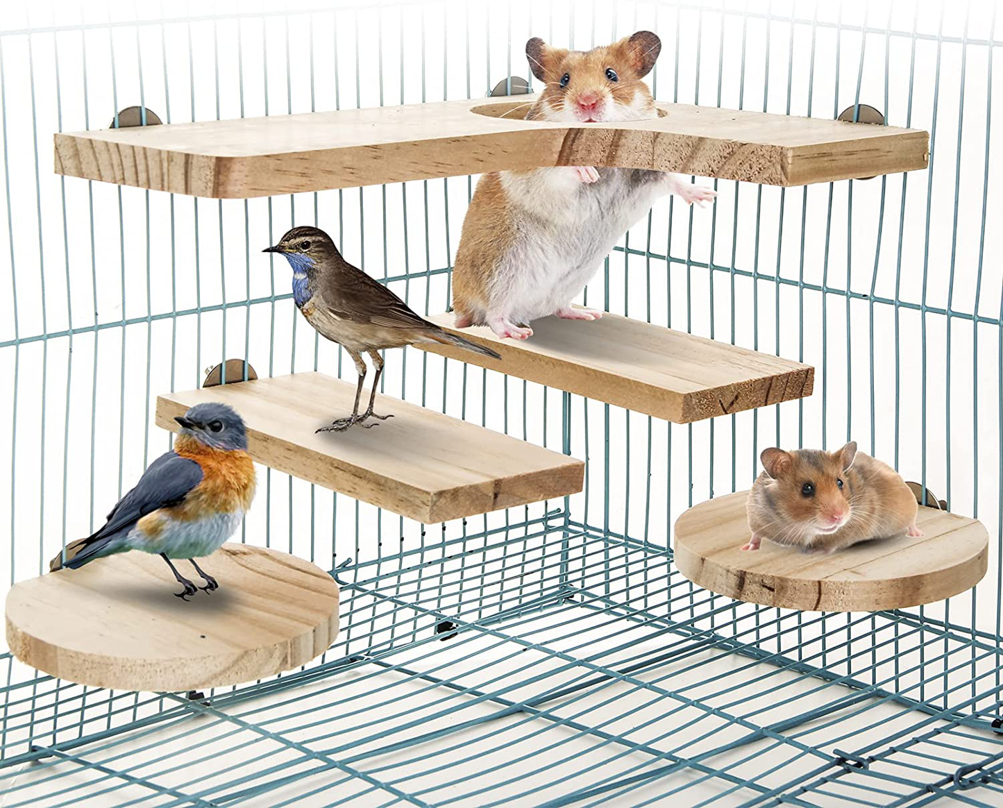 Lenpestia 5Pcs Pet Standing Platform for Dwarf Hamster Squirrel Gerbil Chinchilla, Natural Wooden Parrot Birds Standing Board Guinea Pig Sugar Glider Activity Playground Chinchilla Cage Accessories Animals & Pet Supplies > Pet Supplies > Small Animal Supplies > Small Animal Habitat Accessories lenpestia   