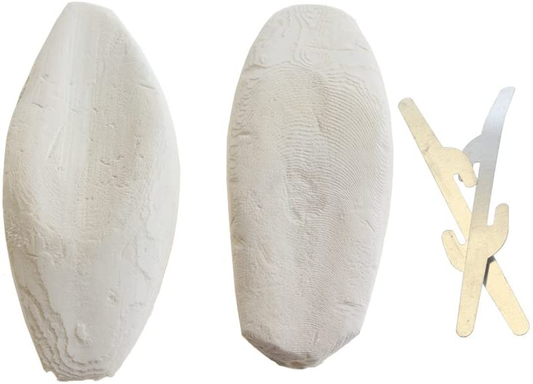 Emours Natural Cuttlefish Bone for Reptiles, Tortoises, Tortoise, Snails, Birds and Small Animals, 4-5 Inch, Twin Pack Animals & Pet Supplies > Pet Supplies > Small Animal Supplies > Small Animal Habitat Accessories emours   