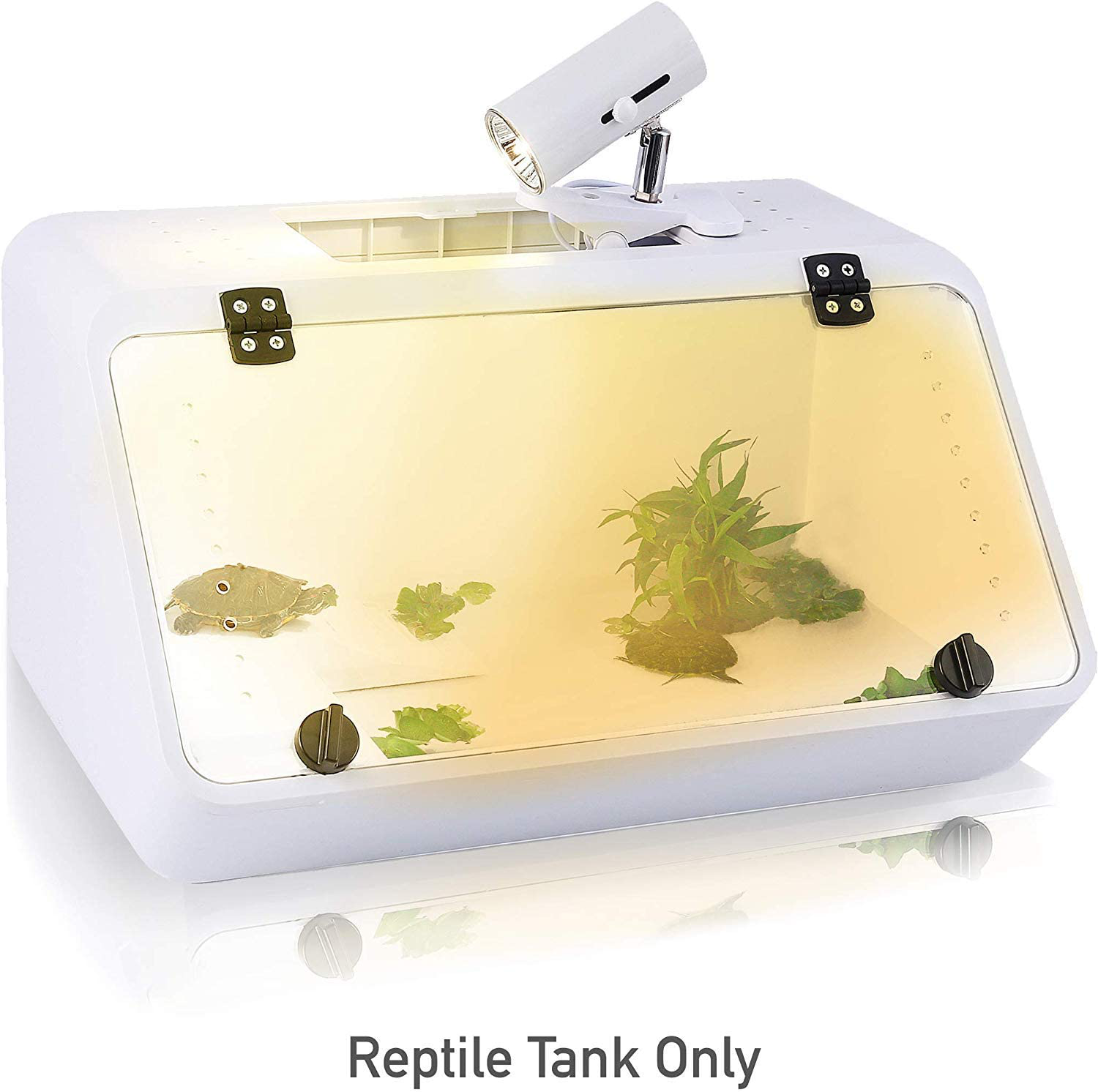 Large Reptile Tank – an Aquarium with a See-Through, Easy Access Front Panel Door | Habitat for Small Reptiles like Young Bearded Dragons, Lizards, Small Snakes and More |19''X10''X10'' with Food Tray Animals & Pet Supplies > Pet Supplies > Reptile & Amphibian Supplies > Reptile & Amphibian Habitat Accessories CALPALMY   