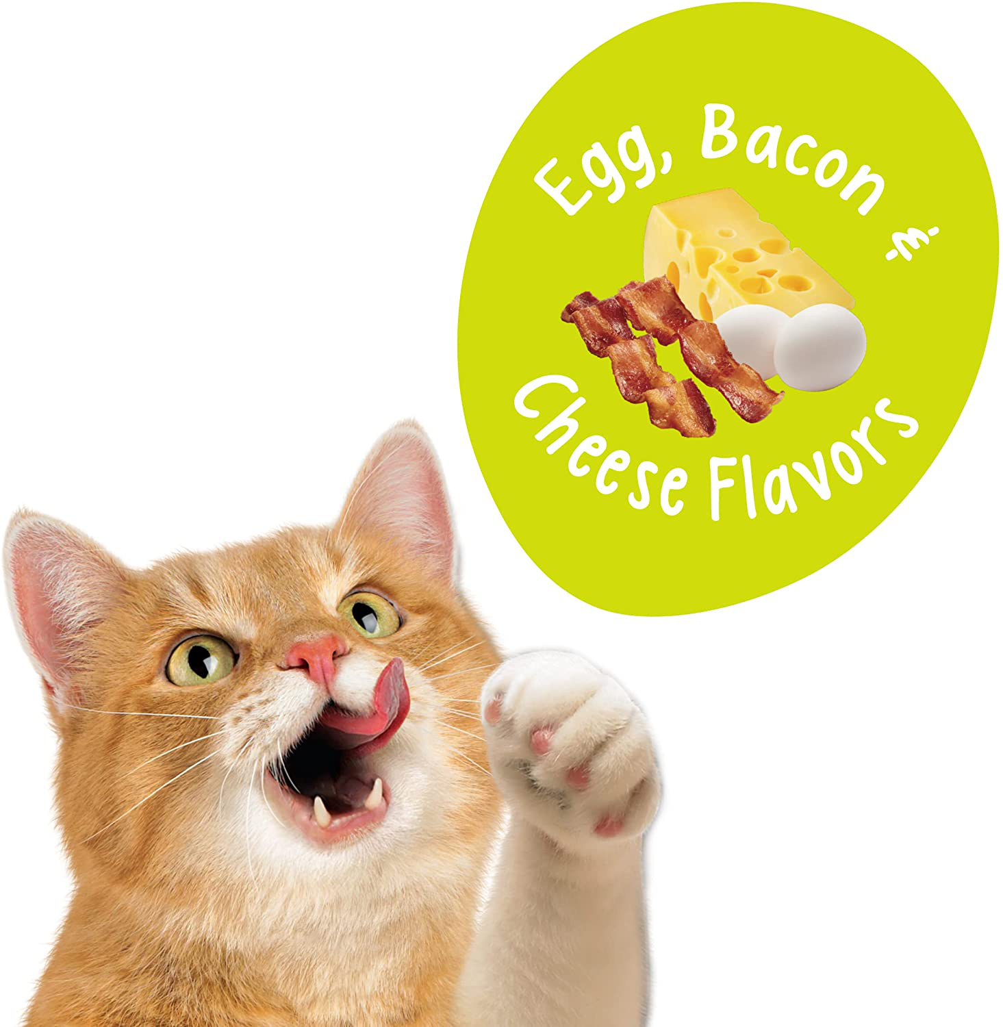 Bacon cat treats 2025